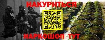 apvp Донской