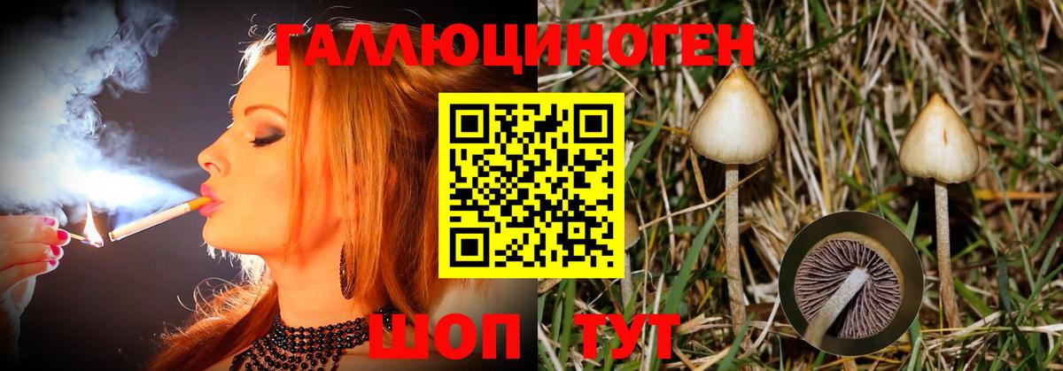 Псилоцибиновые грибы мухоморы  где найти наркотики  Мичуринск  Вход с VPN 
